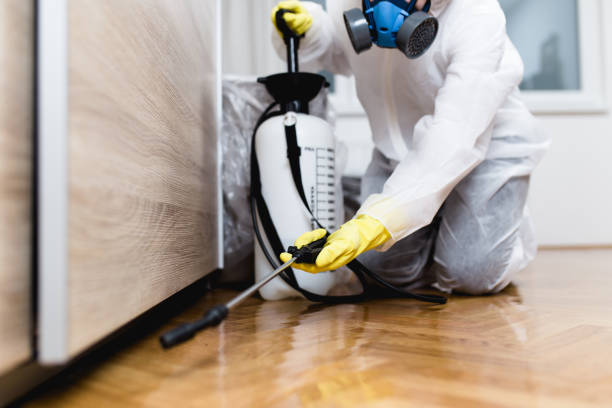 Best Pest Inspection Near Me  in Eatonville, FL