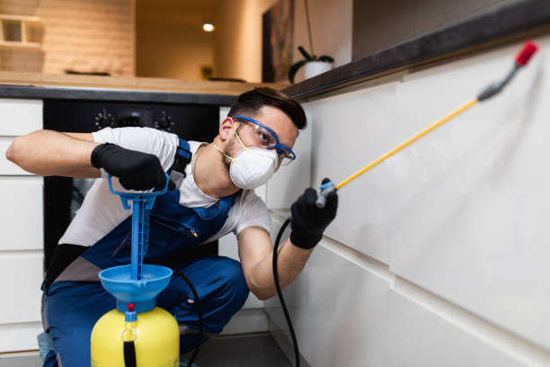 Best Pest Control Near Me  in Eatonville, FL