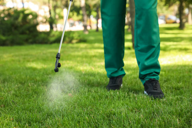 Best Mosquito Control Services  in Eatonville, FL