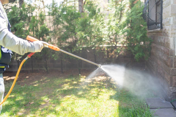 Best Spider Control Near Me  in Eatonville, FL