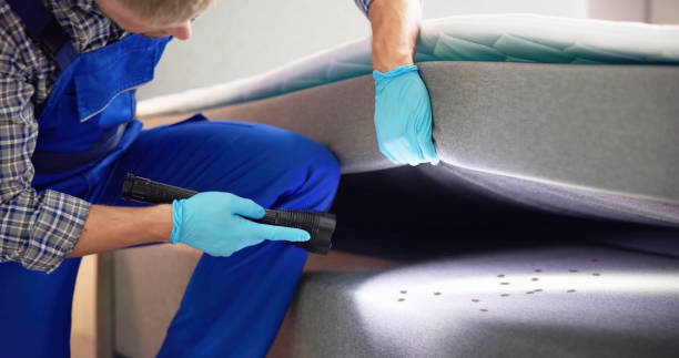 Best Local Pest Control Services  in Eatonville, FL