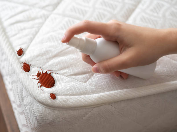 Best Local Pest Control Services  in Eatonville, FL